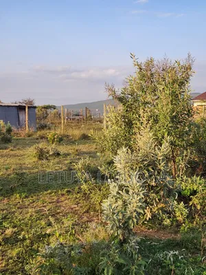 Prime 1 Acre Ngong-Kimuka