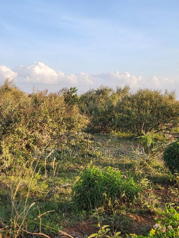 Prime 1 Acre Ngong-Kimuka - thumbnail 4