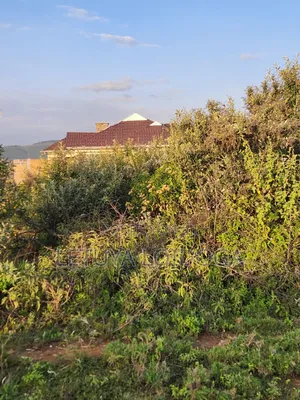 Prime 1 Acre Ngong-Kimuka