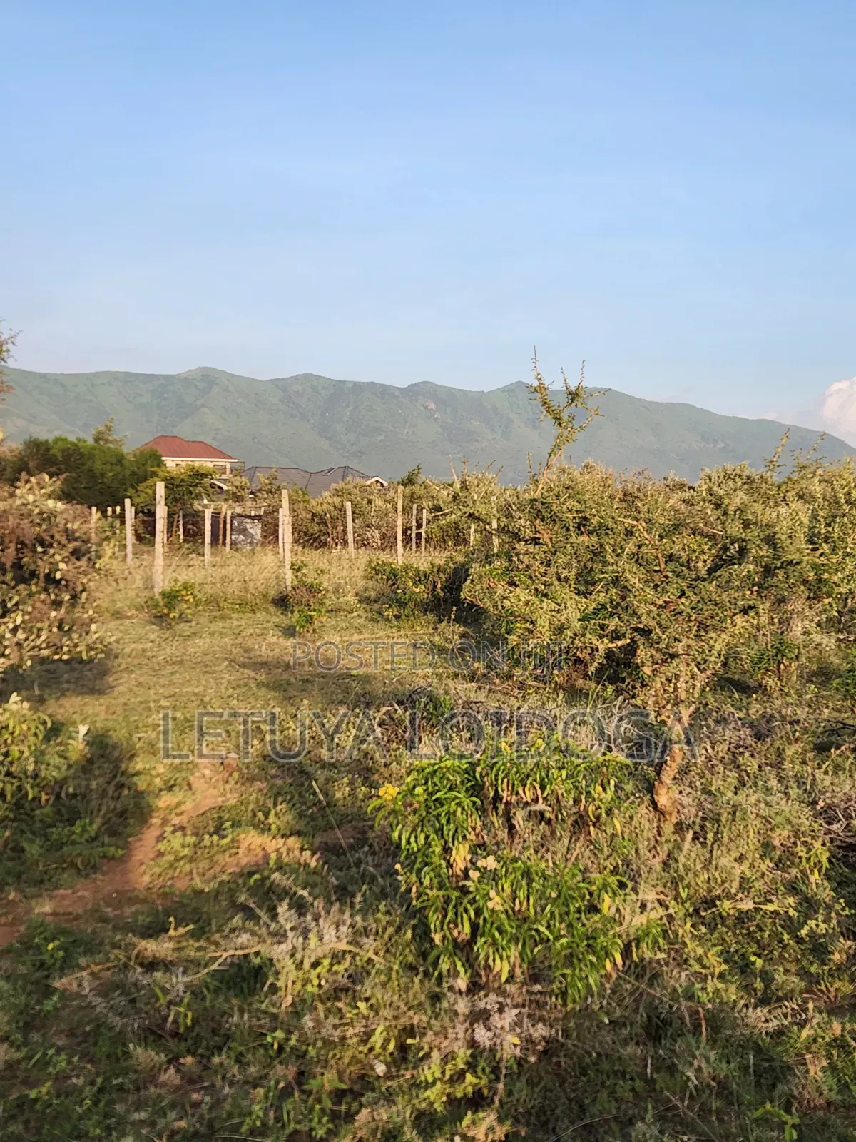 Prime 1 Acre Ngong-Kimuka