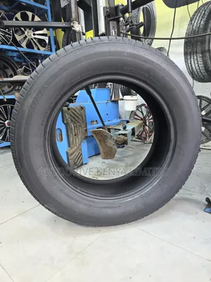 225/60r17 Bridgestone Tire
