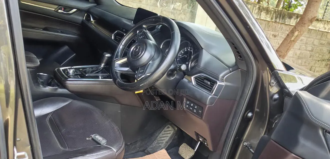 Mazda CX-8 2018 Brown