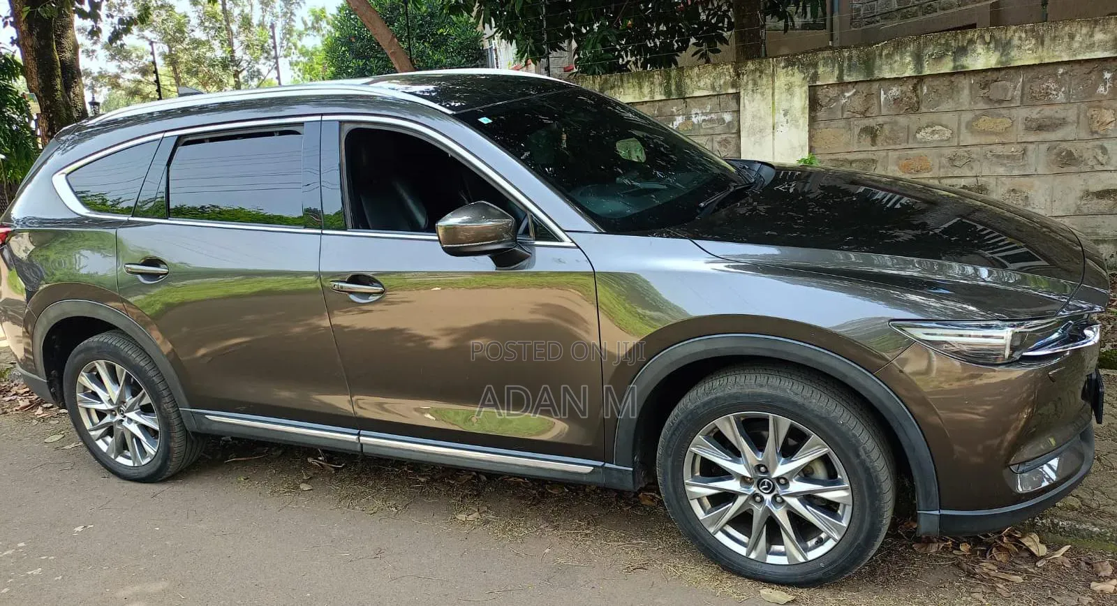 Mazda CX-8 2018 Brown