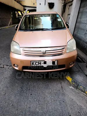 Toyota Raum 2010 Brown