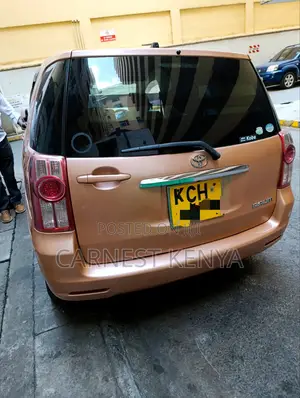 Toyota Raum 2010 Brown