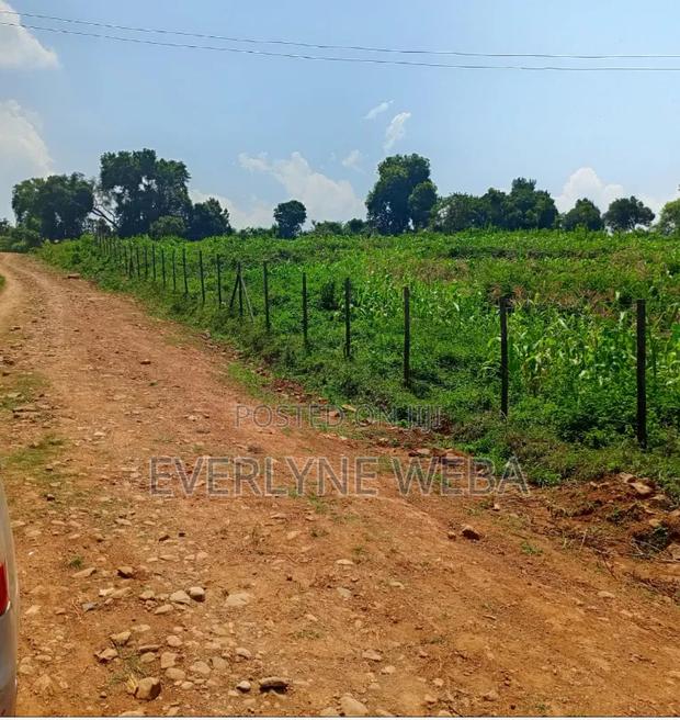 Land for Sale - thumbnail 2