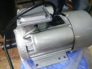 Well Performing Motor 3hp