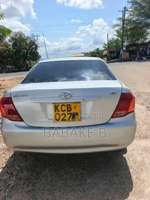 Toyota Axio 2008 Silver