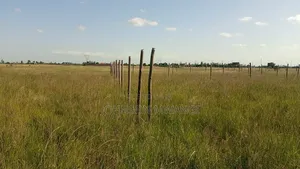 Residential Plot