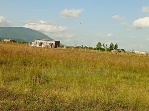 Residential Plot