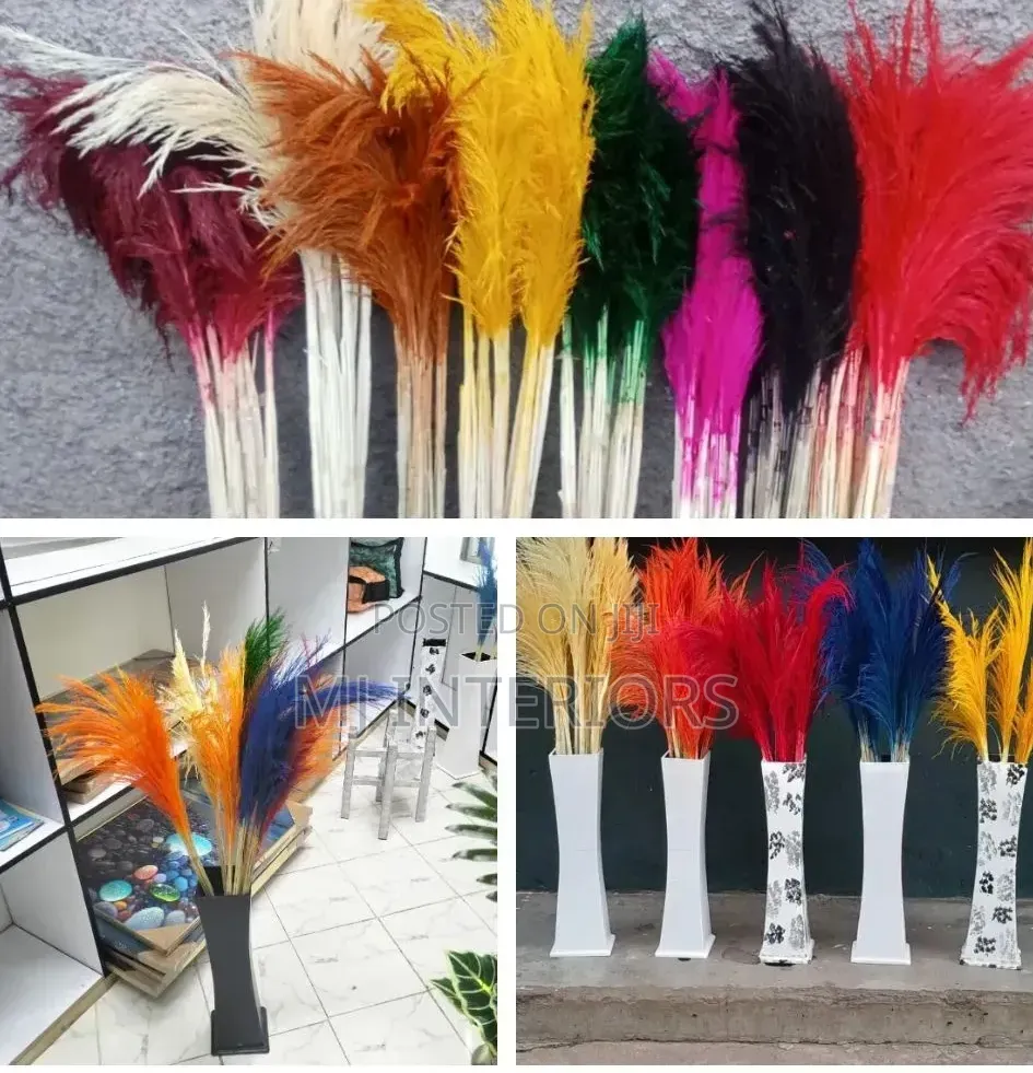 Premium Local Pampas Grass