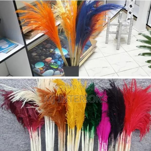 Soft Fluffy Pampas Grass