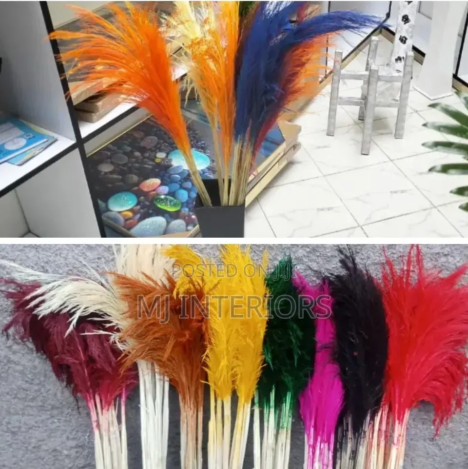 Soft Fluffy Pampas Grass