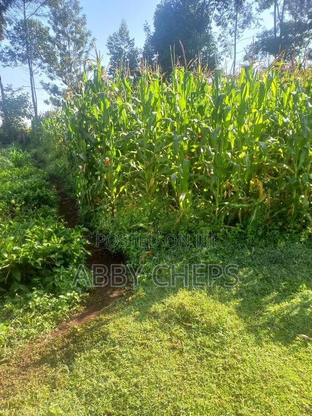 Land on Sale