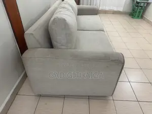 Couch for Sale