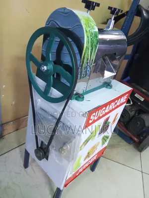 Top Reliable Sugarcane Juicer/ Manual Juicing Machine