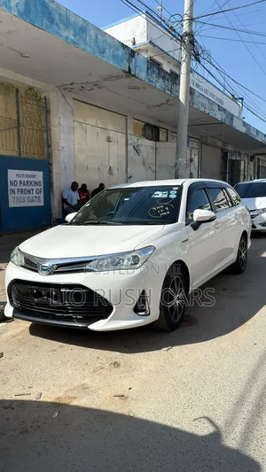 Toyota Corolla Fielder 2019 White