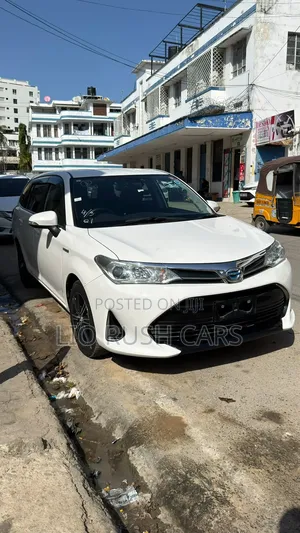 Toyota Corolla Fielder 2019 White