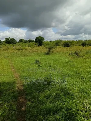 5 Acres for Sale With Ready Tittle Deed Per Acee