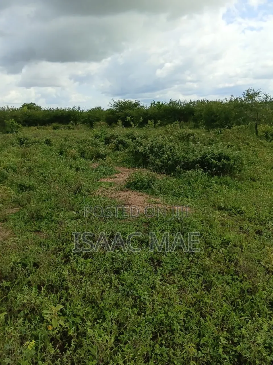 5 Acres for Sale at Malindi Sosobora Area 30km From Malind to the Land
