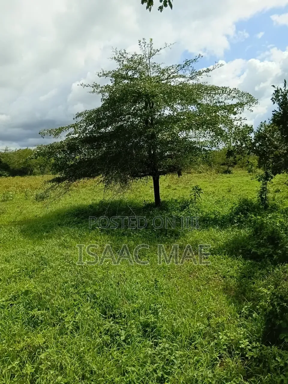 5 Acres for Sale at Malindi Sosobora Area 30km From Malind to the Land