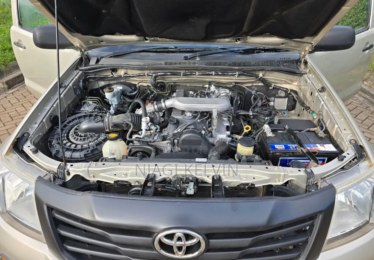 Toyota Hilux 2008 Gold