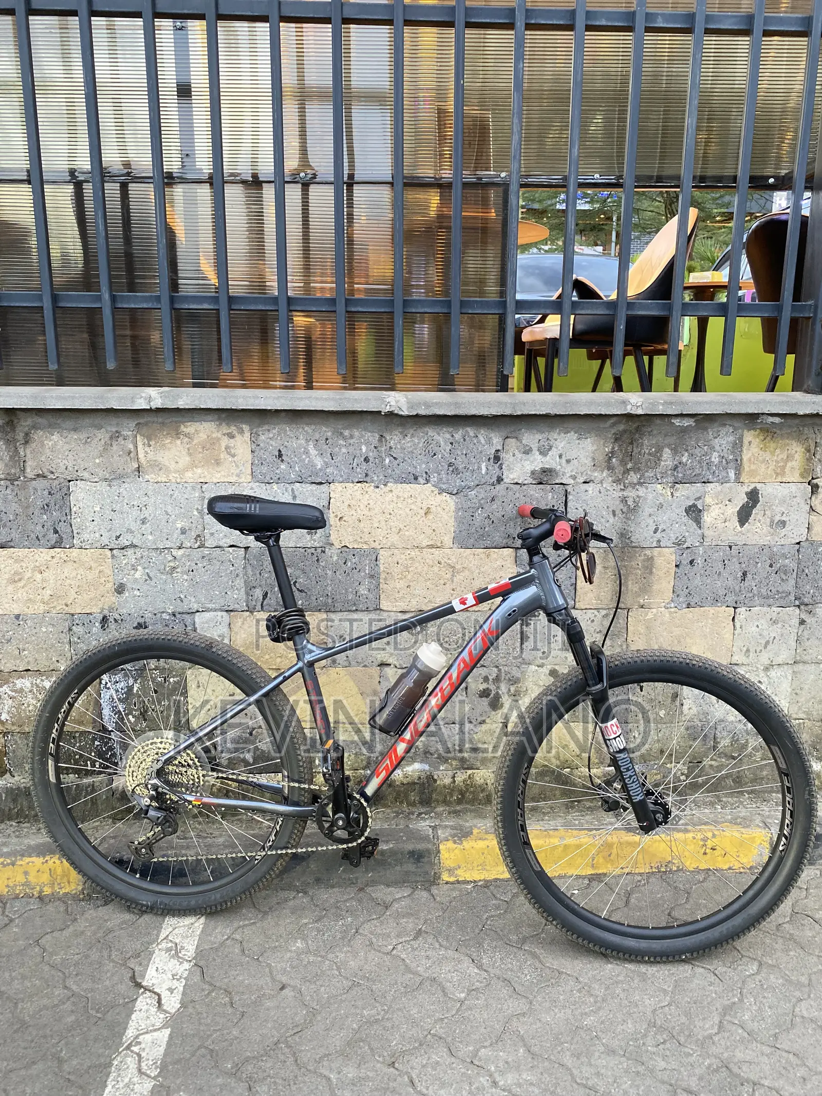 Silverback Stride Elite Bicycle