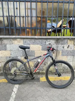 Silverback Stride Elite Bicycle