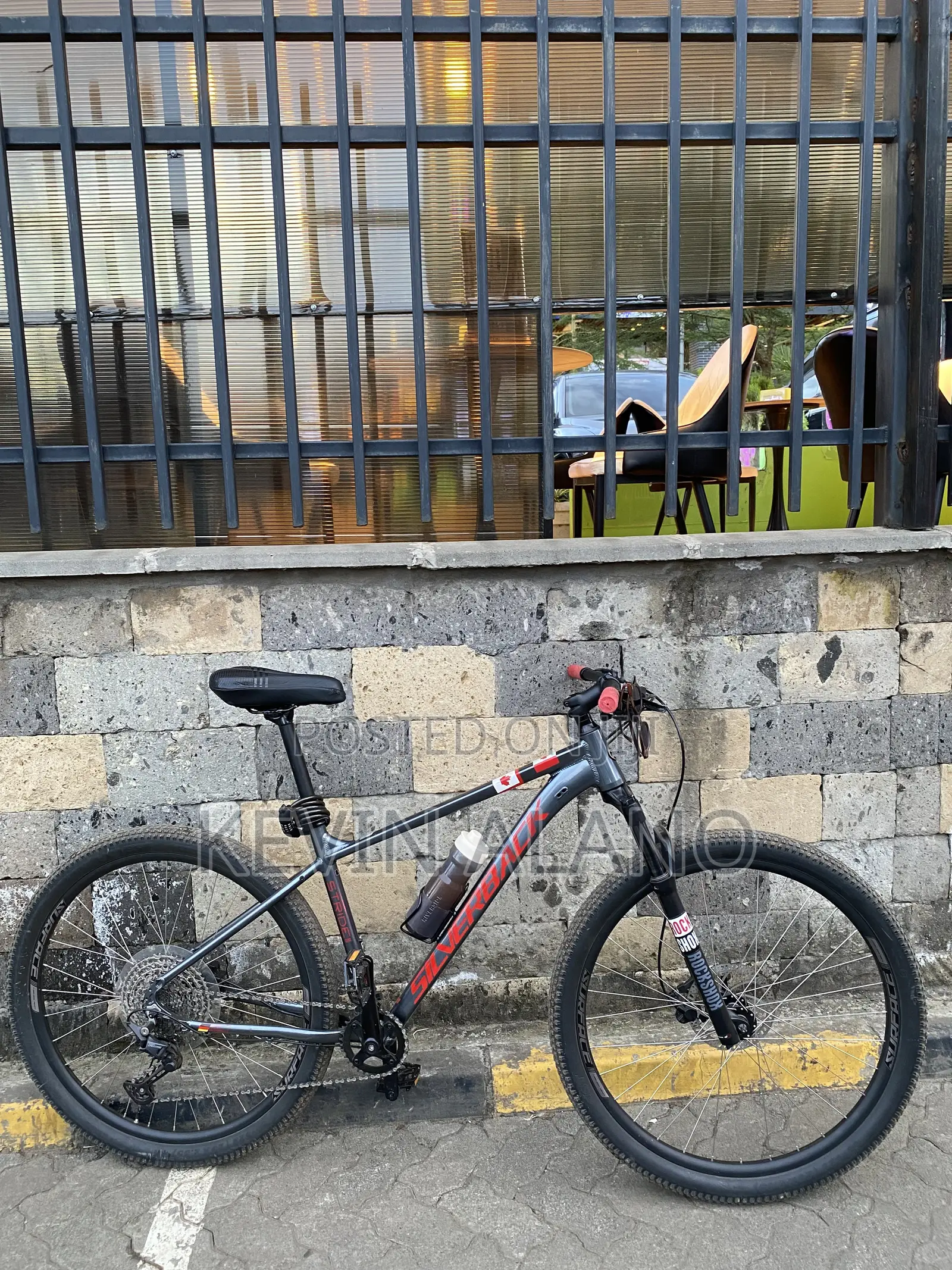 Silverback Stride Elite Bicycle