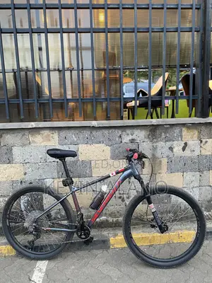 Silverback Stride Elite Bicycle