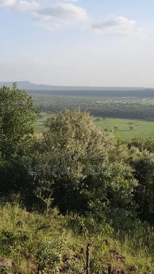 20 Acres With a Cliff Edge Ngong-Kimuka