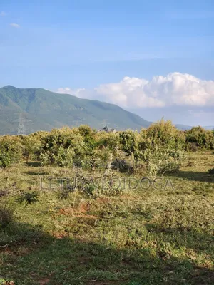 20 Acres With a Cliff Edge Ngong-Kimuka