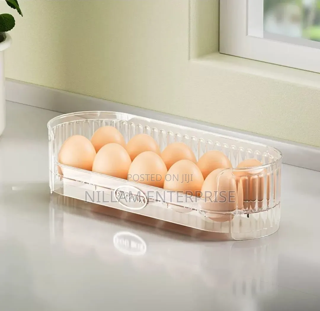 Stackable Egg Storage Box 2 Layer 20pcs