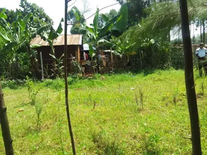 Land for Sale at Kapuonja in Kisumu