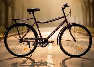 Victory Mtb Bike Size 26 Single Speed