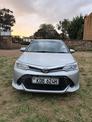 Toyota Axio 2014