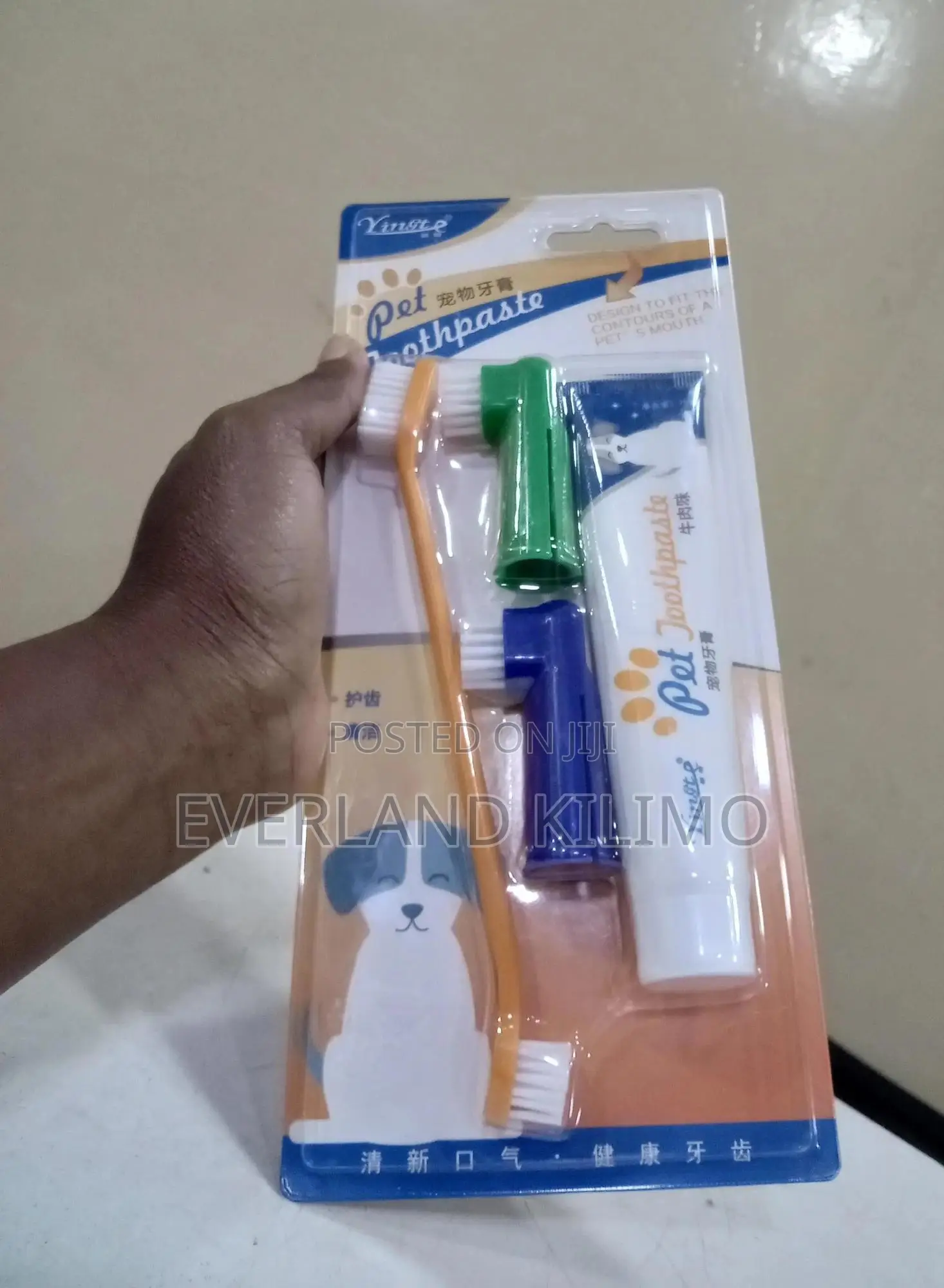Pet Dental Care for Dogs Cats