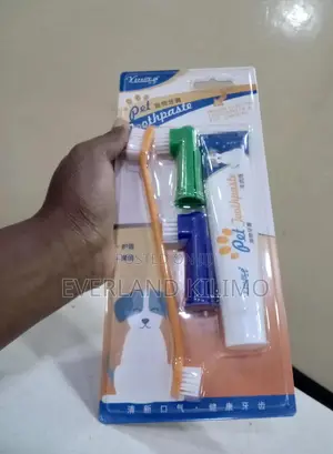 Pet Dental Care for Dogs Cats