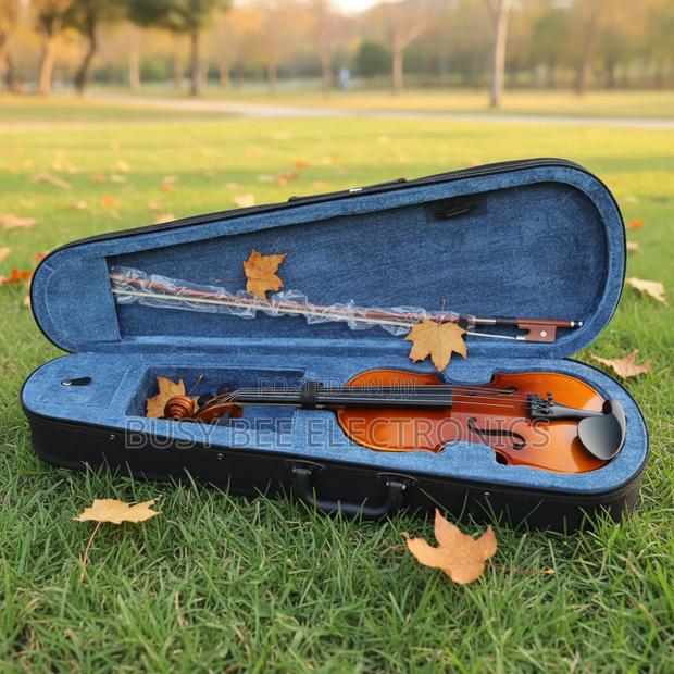 Musical Instruments Violin Kit Glossy Full Size - thumbnail 2