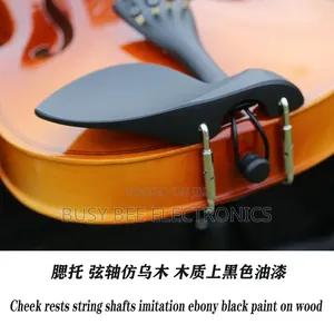 Musical Instruments Violin Kit Glossy Full Size