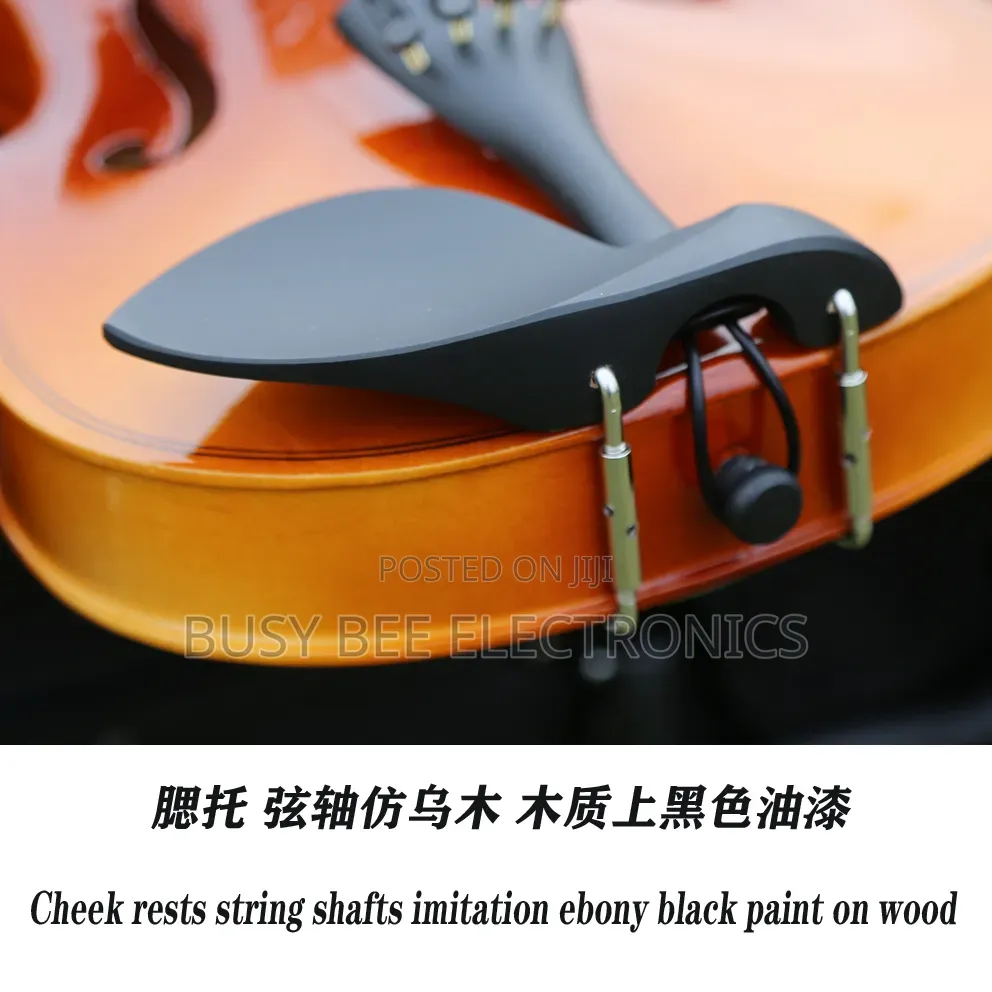 Musical Instruments Violin Kit Glossy Full Size