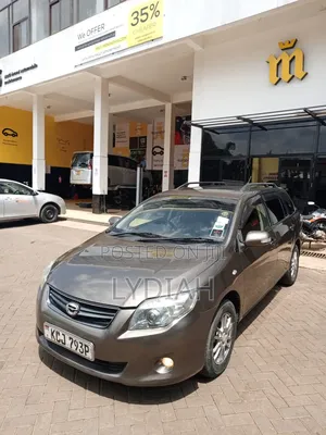 Toyota Corolla Fielder 2010 Gray