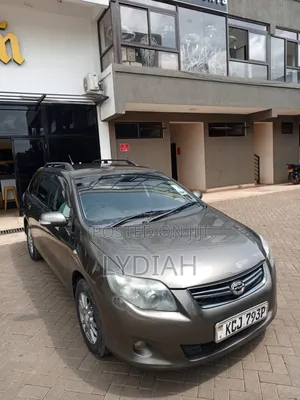 Toyota Corolla Fielder 2010 Gray