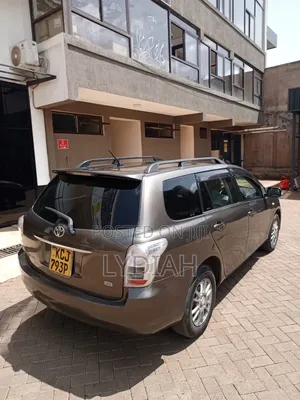 Toyota Corolla Fielder 2010 Gray