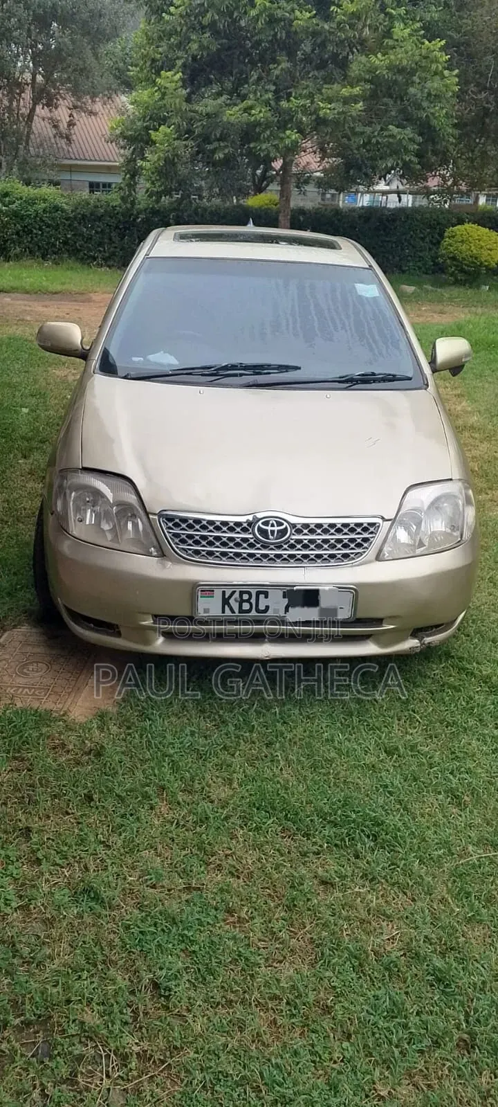 Toyota Allex 2002 Gold