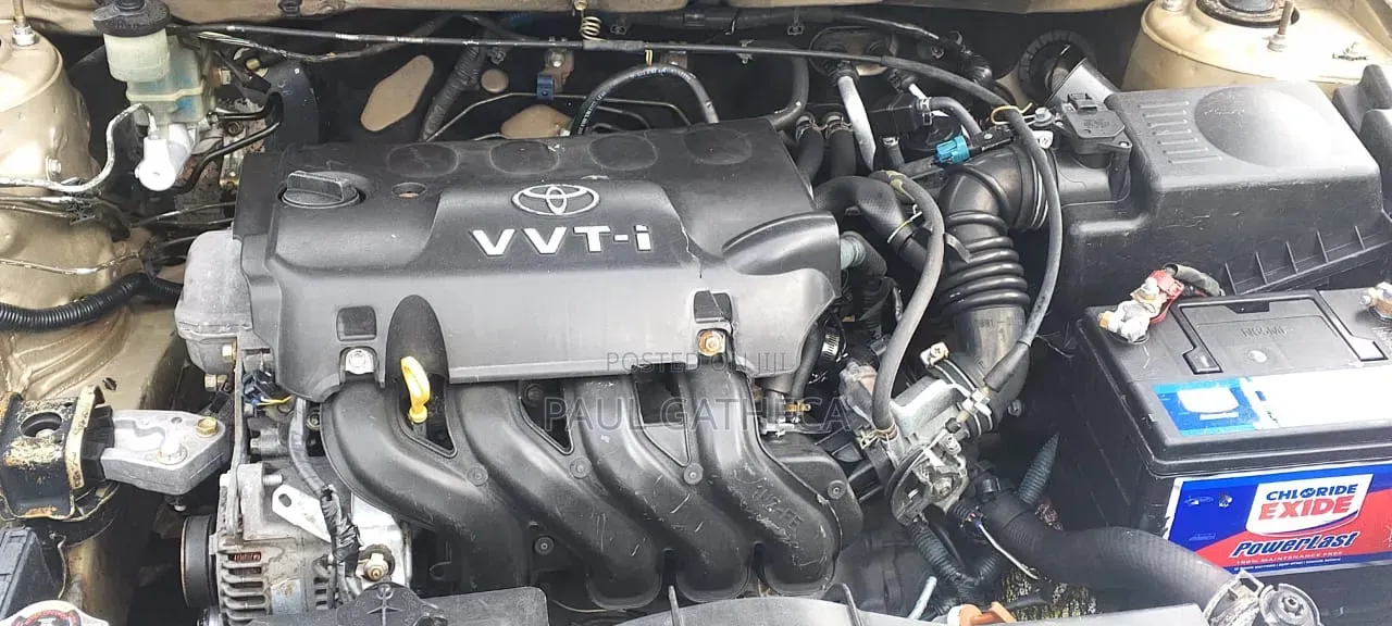 Toyota Allex 2002 Gold