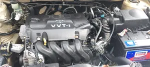 Toyota Allex 2002 Gold