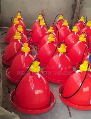 Chinese Automatic Chicken Bell Drinker