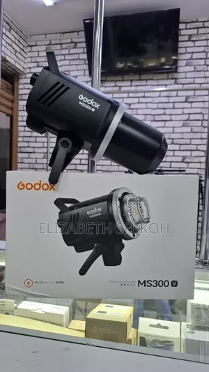 Godox Ms300-v Studio Flash Monolight