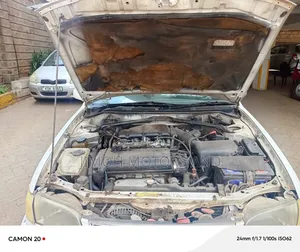 Toyota Corolla 1999 White